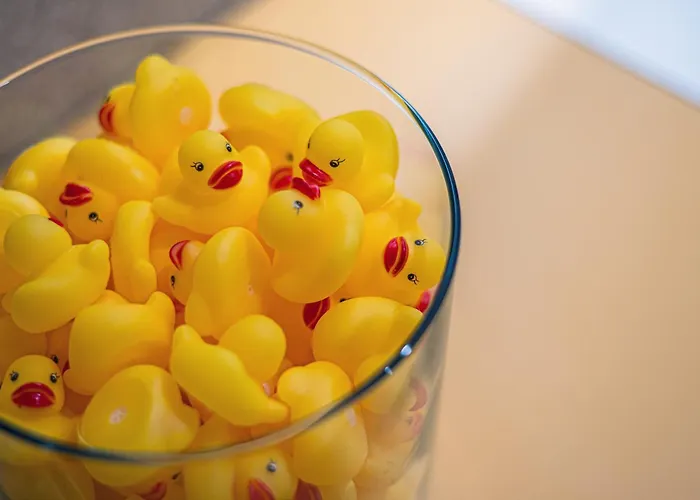 Monte Billberry Sopot